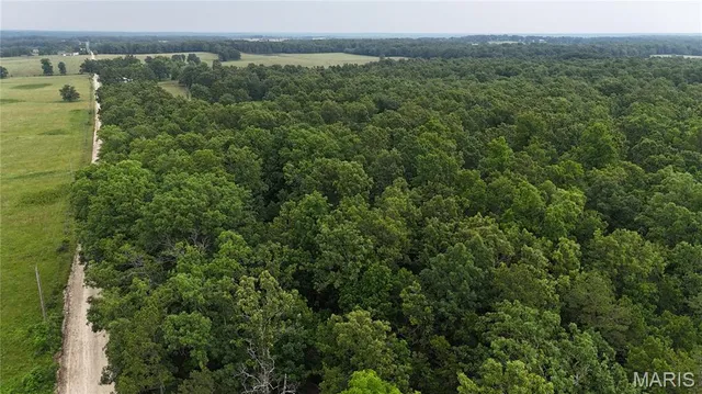 $385,000 | 0 County Road 5500, Salem, MO 65560