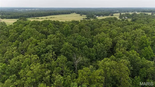 $385,000 | 0 County Road 5500, Salem, MO 65560