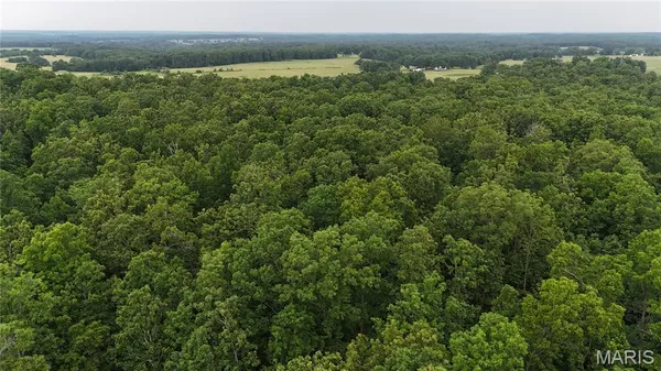 $385,000 | 0 County Road 5500, Salem, MO 65560