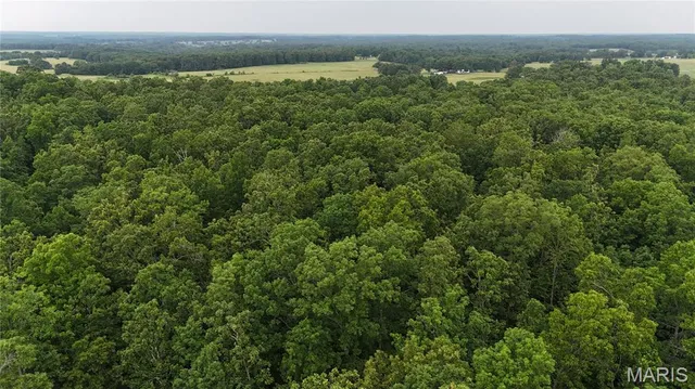 $385,000 | 0 County Road 5500, Salem, MO 65560