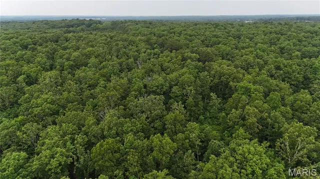 $385,000 | 0 County Road 5500, Salem, MO 65560