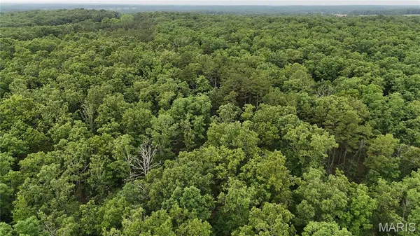 $385,000 | 0 County Road 5500, Salem, MO 65560