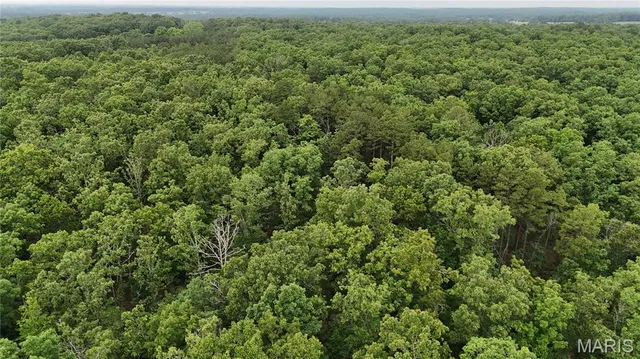 $385,000 | 0 County Road 5500, Salem, MO 65560