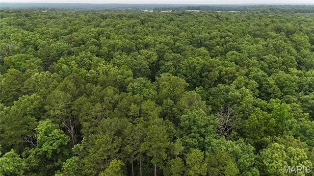 $385,000 | 0 County Road 5500, Salem, MO 65560