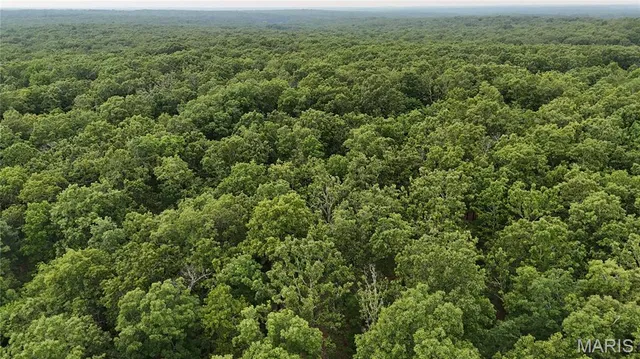 $385,000 | 0 County Road 5500, Salem, MO 65560