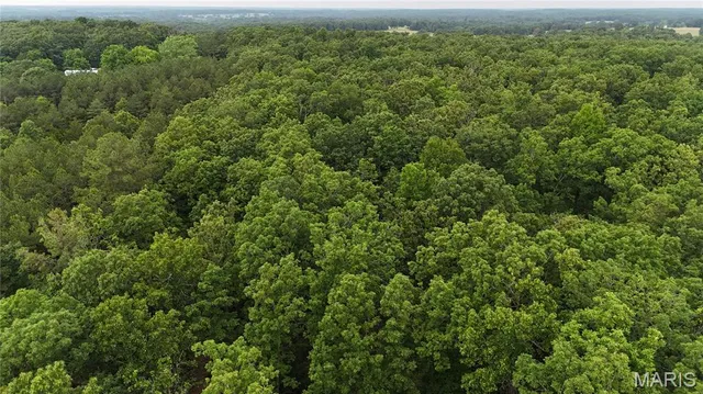 $385,000 | 0 County Road 5500, Salem, MO 65560