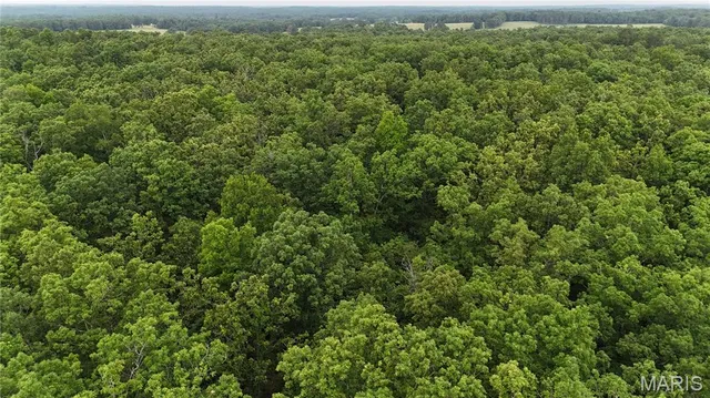 $385,000 | 0 County Road 5500, Salem, MO 65560