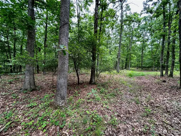 $385,000 | 0 County Road 5500, Salem, MO 65560