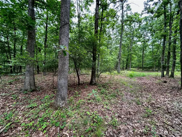 $385,000 | 0 County Road 5500, Salem, MO 65560