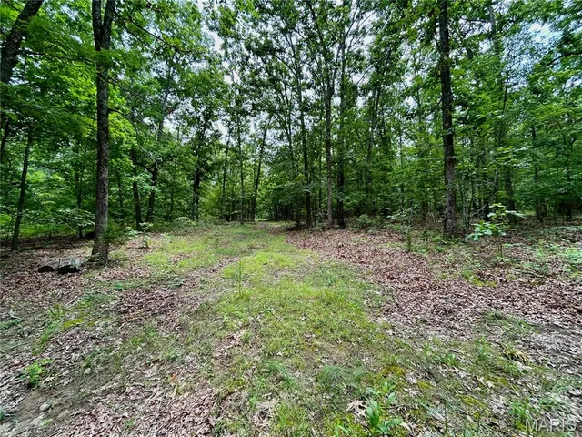 $385,000 | 0 County Road 5500, Salem, MO 65560