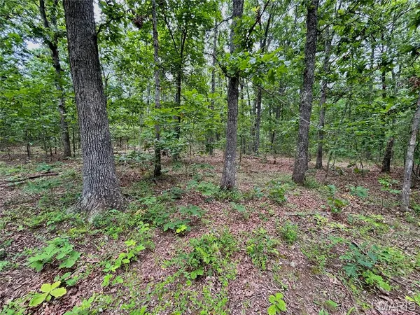 $385,000 | 0 County Road 5500, Salem, MO 65560