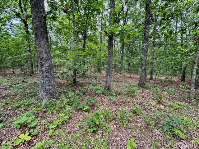 $385,000 | 0 County Road 5500, Salem, MO 65560