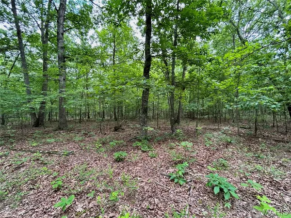 $385,000 | 0 County Road 5500, Salem, MO 65560