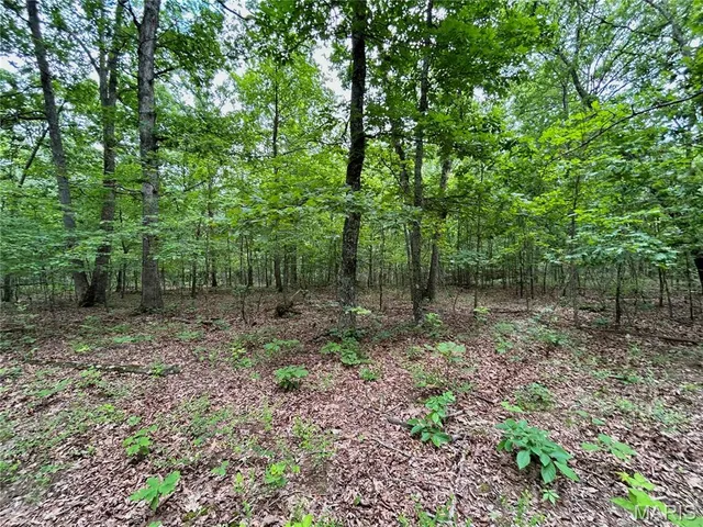 $385,000 | 0 County Road 5500, Salem, MO 65560