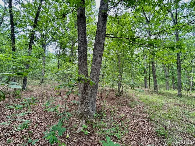 $385,000 | 0 County Road 5500, Salem, MO 65560