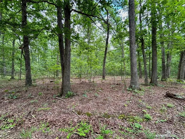 $385,000 | 0 County Road 5500, Salem, MO 65560