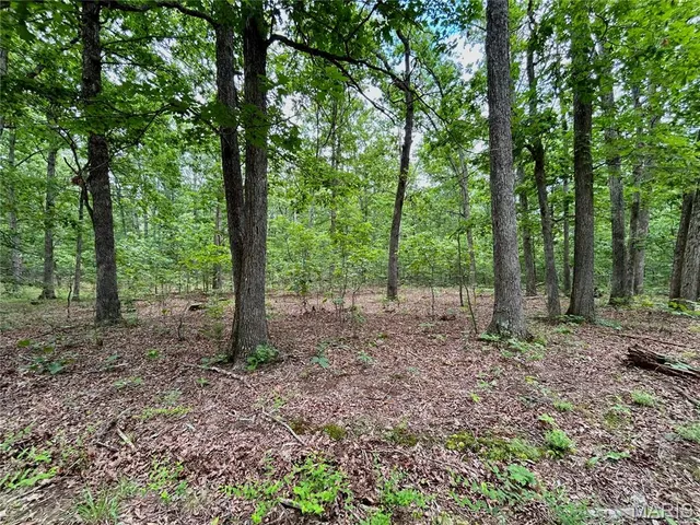 $385,000 | 0 County Road 5500, Salem, MO 65560