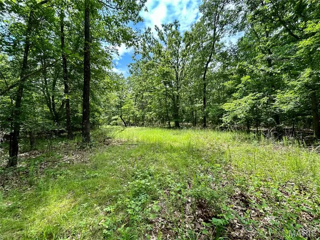$385,000 | 0 County Road 5500, Salem, MO 65560