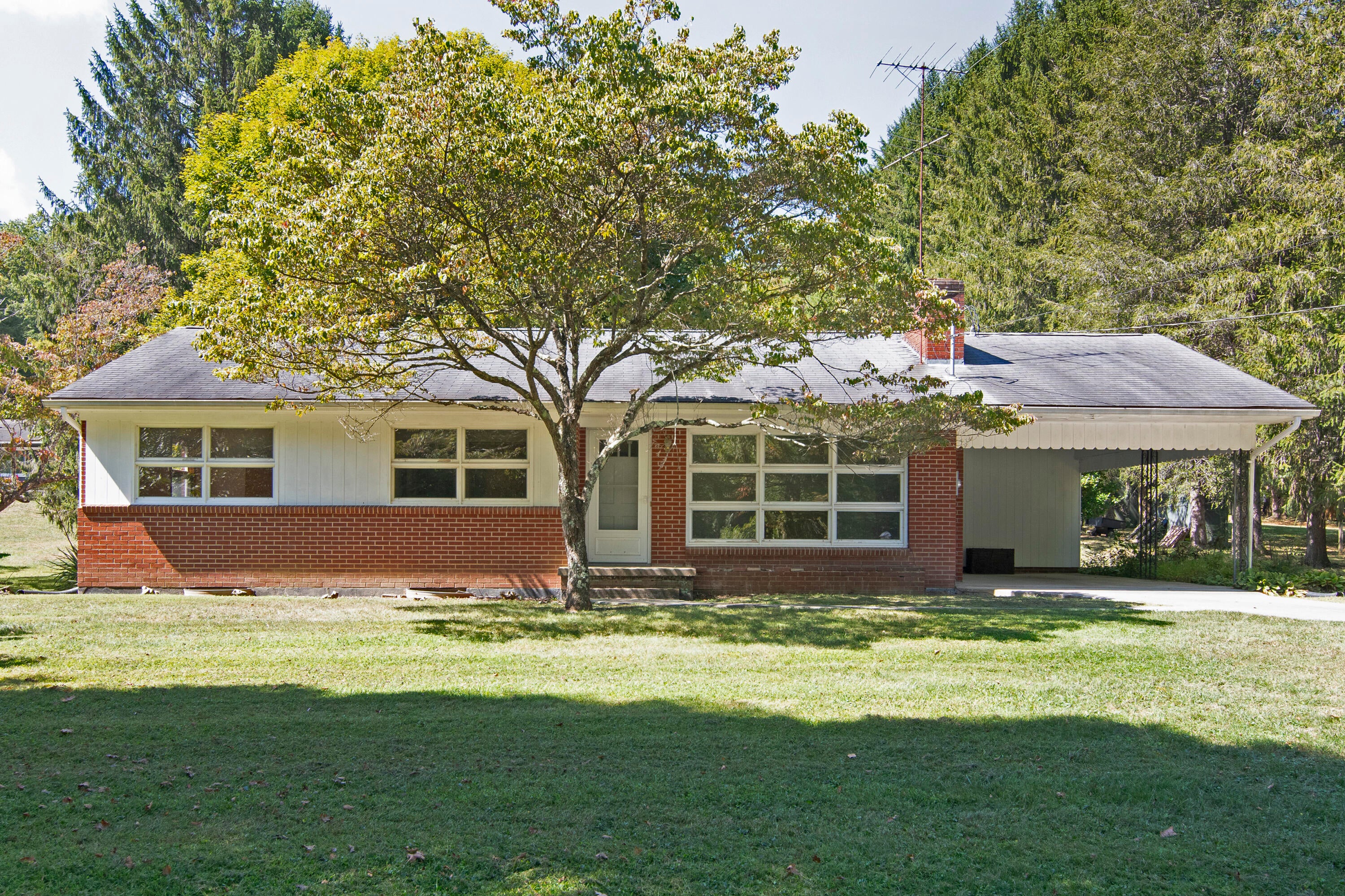 155 Dickson Road Caldwell, WV 24925 - Photo 2 of 78 Gallery Image 2