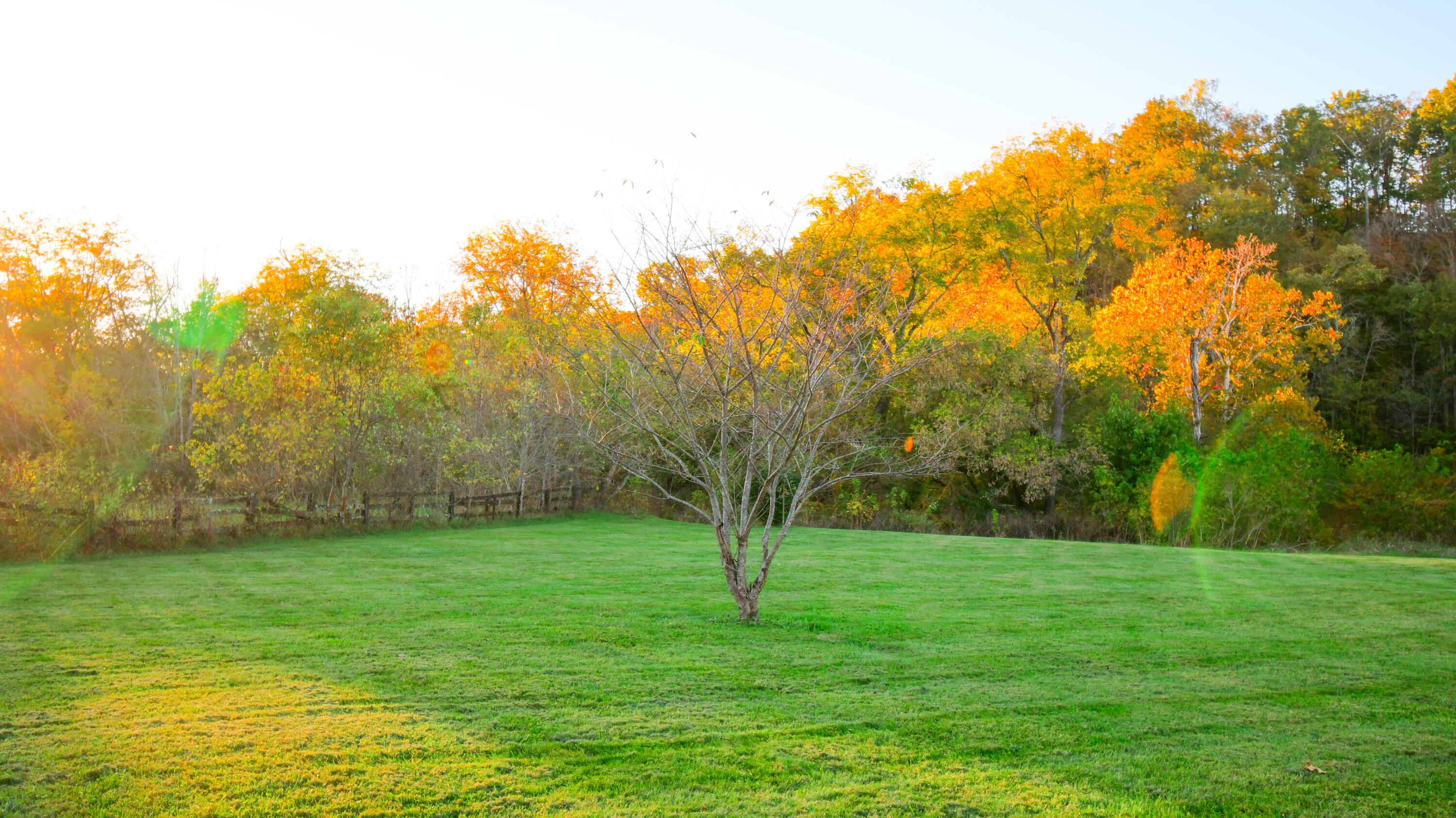 1051 Drydock Road Lawrenceburg, KY 40342 - Photo 8 of 56 DSC_0128