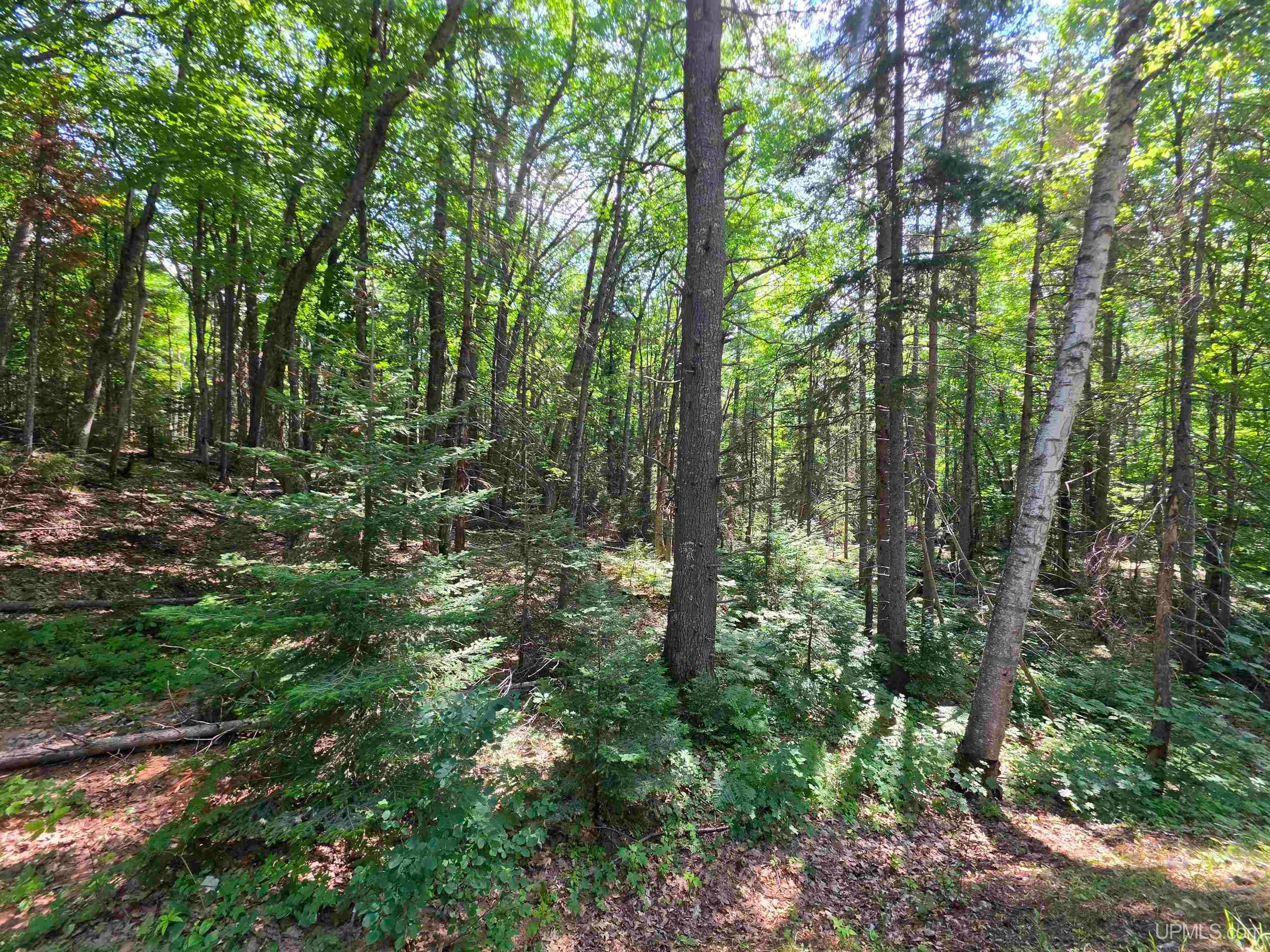 510 Rd Negaunee Mi 49866 Road Negaunee, MI 49866 - Photo 12 of 25 Gallery Image 12