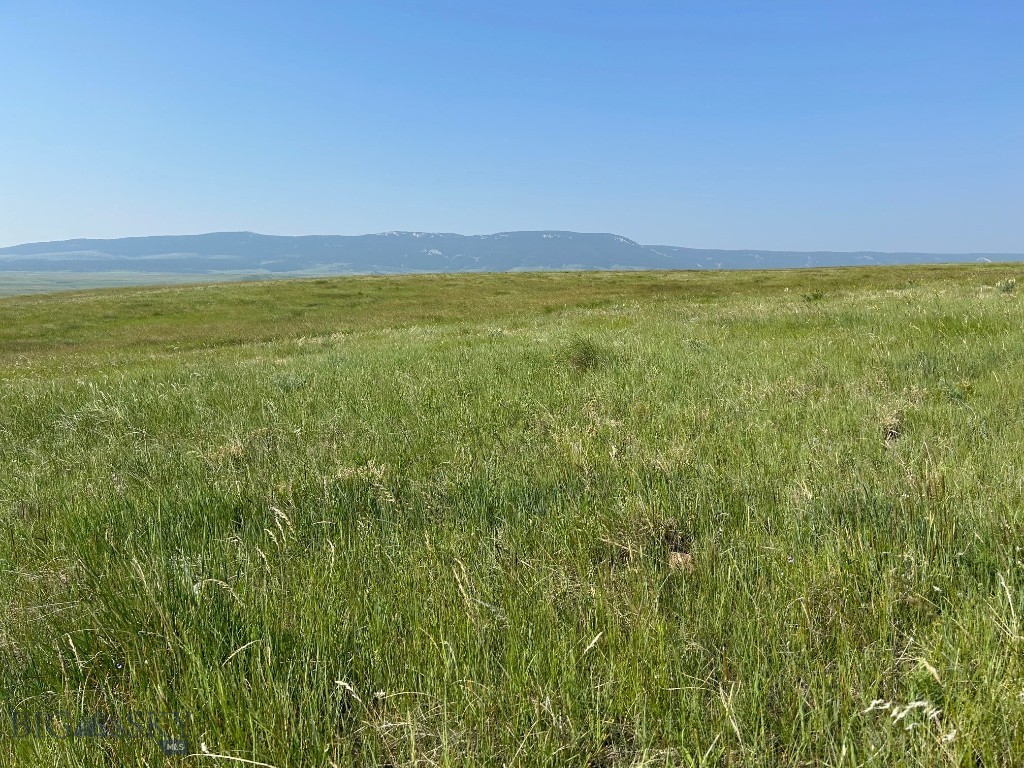 Tbd U Bet Road Buffalo, MT 59418 - Photo 6 of 30 Gallery Image 6