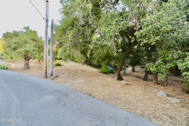 a view of a road with a tree