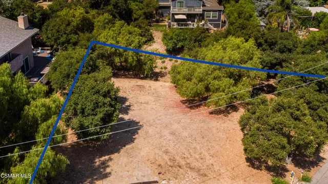 a view of a yard with plants