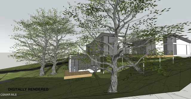 a view of backyard with green space