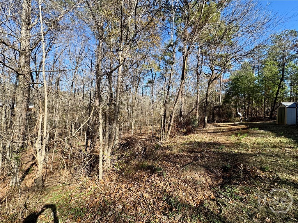 160 Ethridge Place Gray, GA 31032 - Photo 33 of 34 side yard