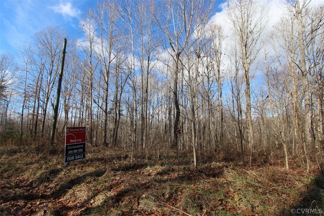 0 Cc Camp Road Meherrin, VA 23954 - Photo 1 of 6
