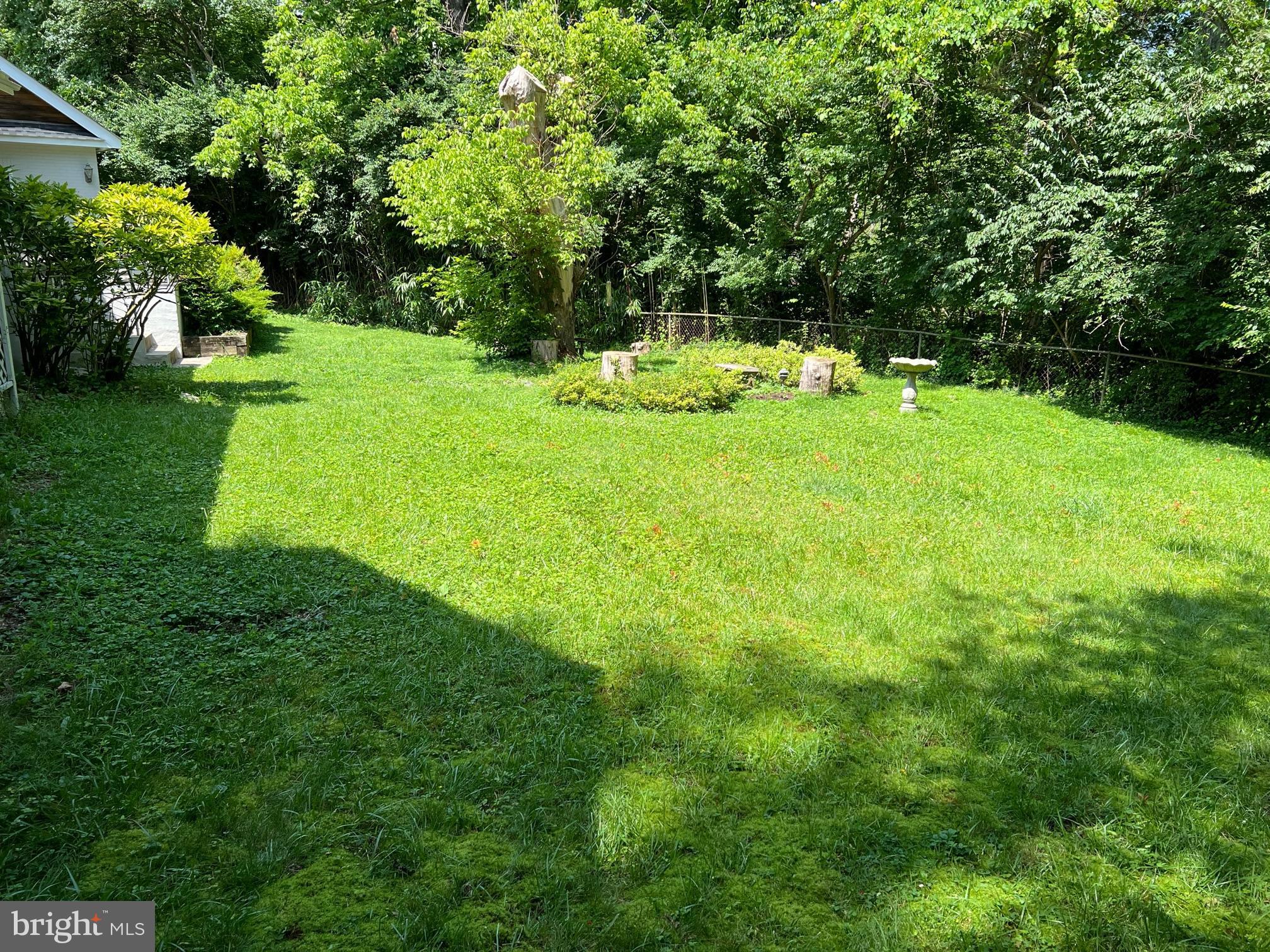 9107 Jones Mill Road Chevy Chase, MD 20815 - Photo 20 of 21 Backyard