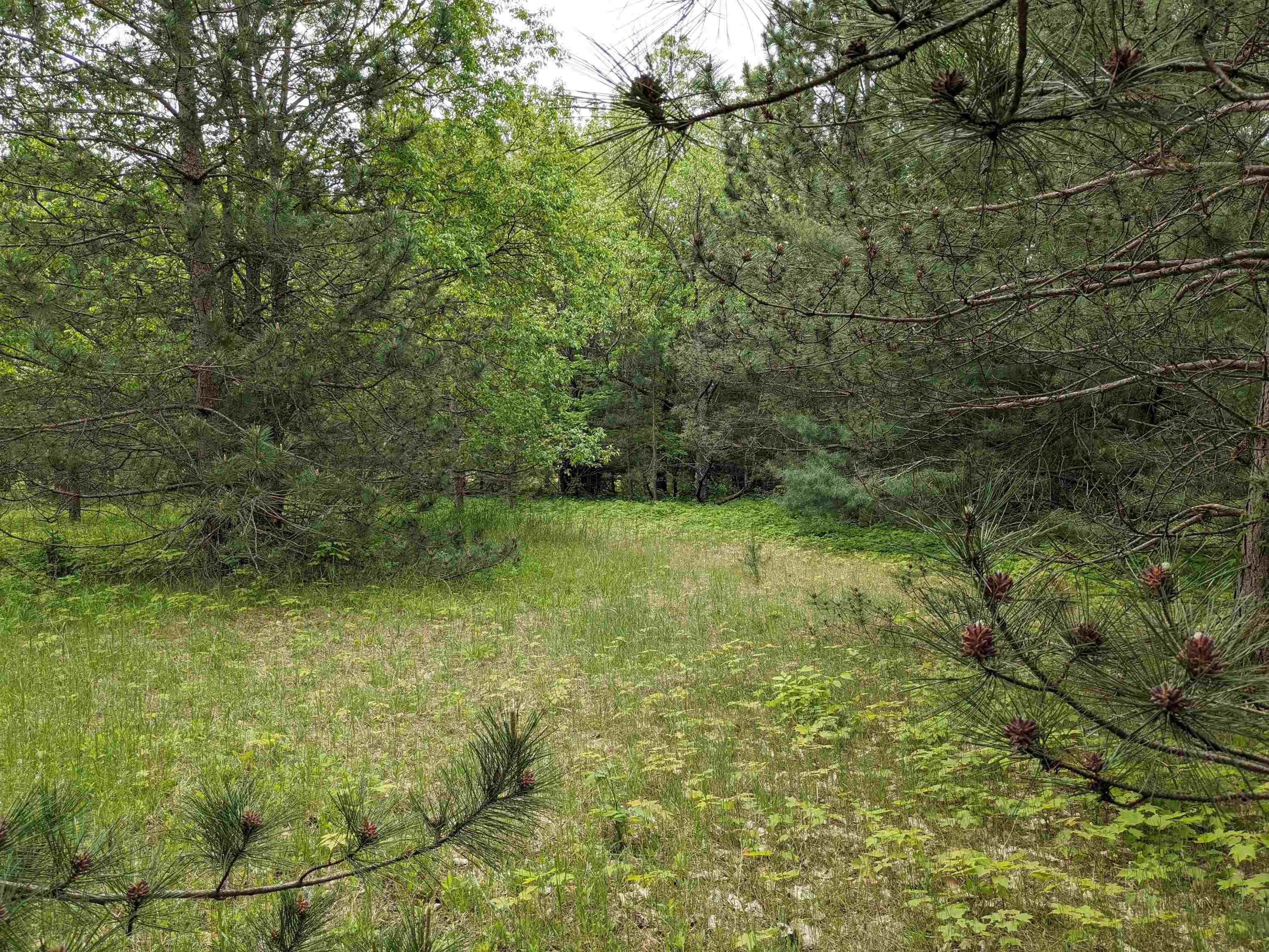 0 East 26 Road Cadillac, MI 49601 - Photo 6 of 15