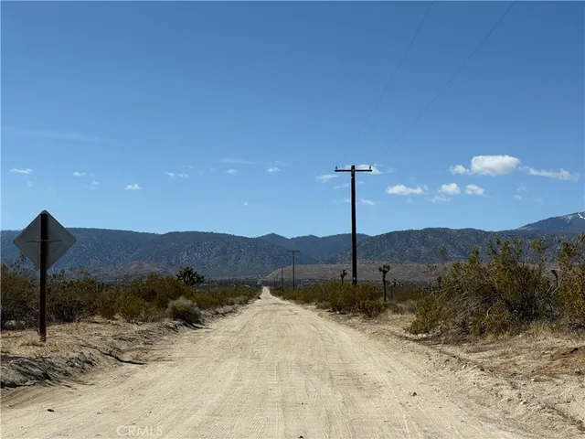 a view of a dry yard with a tree