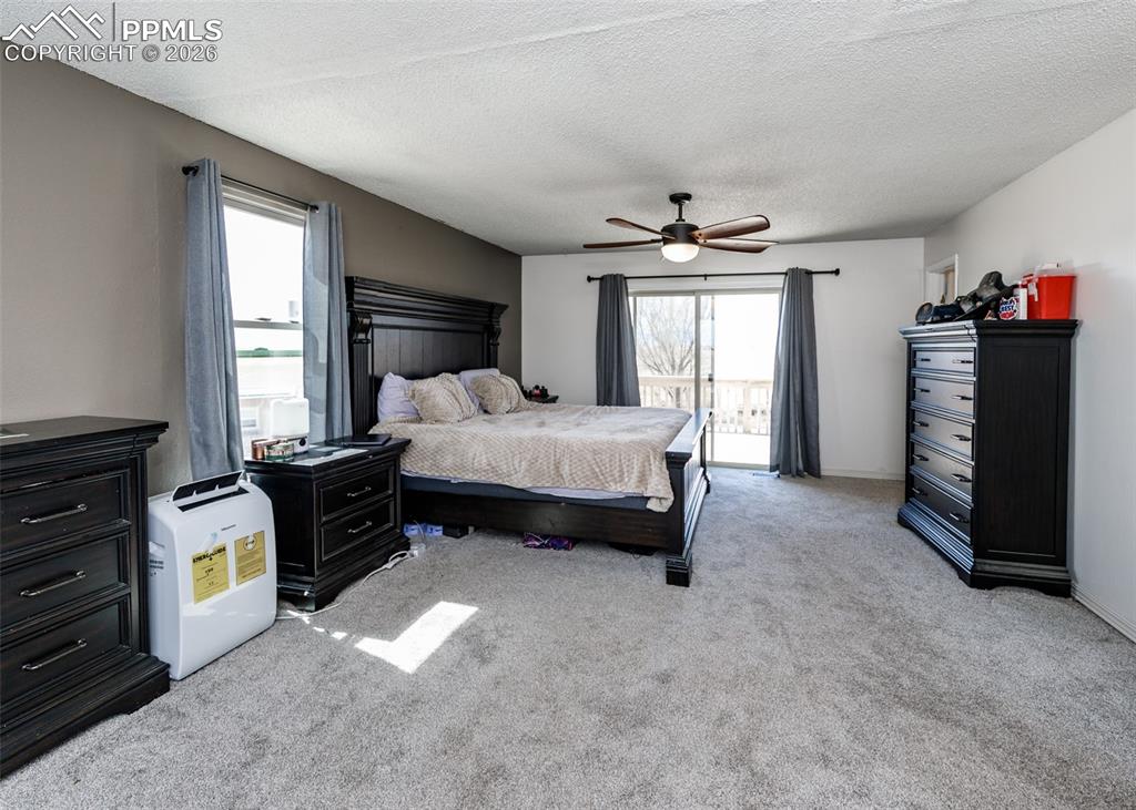 3830 Hemmingway Road Colorado Springs, CO 80930 - Photo 17 of 50