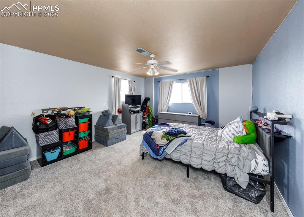 3830 Hemmingway Road Colorado Springs, CO 80930 - Photo 29 of 50