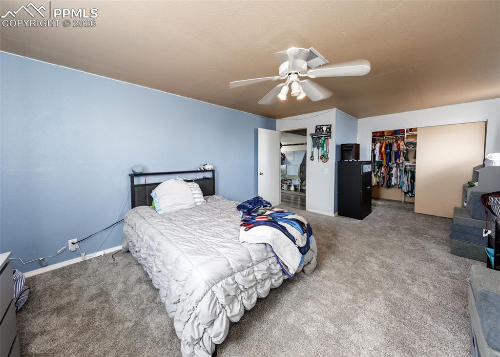 3830 Hemmingway Road Colorado Springs, CO 80930 - Photo 30 of 50