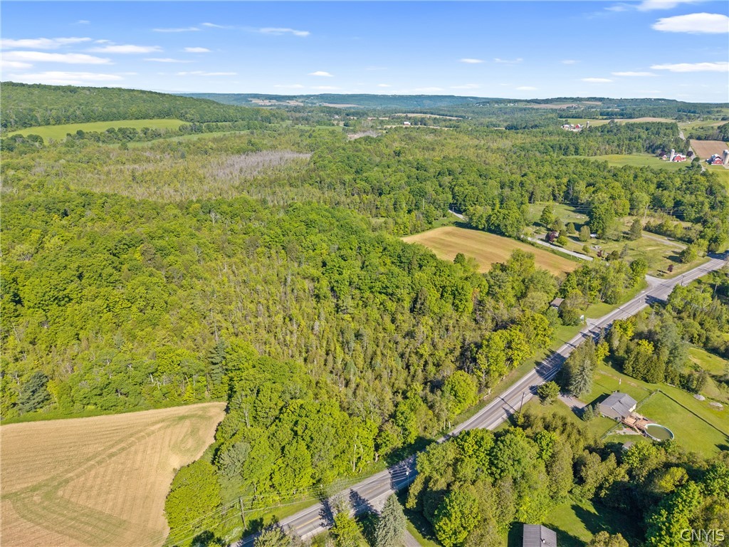 Nelson Road Cazenovia, NY 13035 - Photo 9 of 15