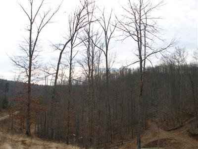 0 Old County Road McKee, KY 40447 - Photo 17 of 18 Photo 17