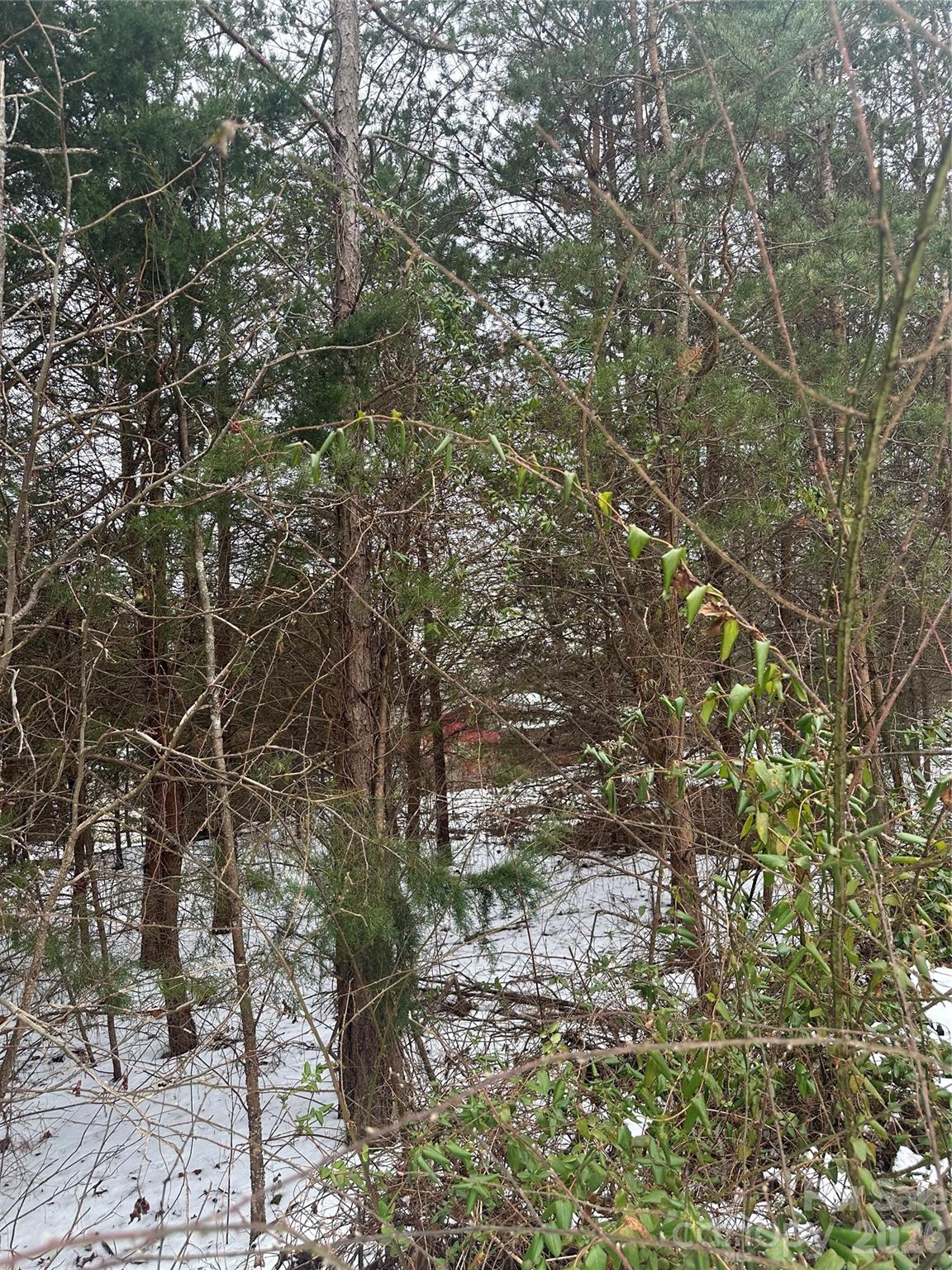 0 Norman Parker Road Lawndale, NC 28090 - Photo 3 of 4