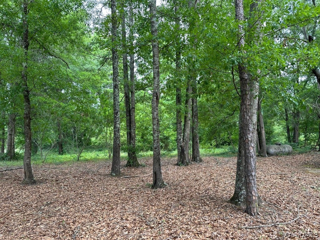 3211 Rose Hill Road Millbrook, AL 36054 - Photo 12 of 13 Gallery Image 12