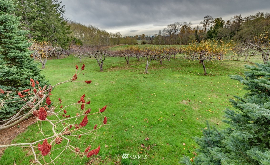201 Kline Road Bellingham, WA 98226 - Photo 11 of 25