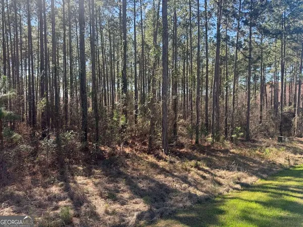 $21,000 | 221 1st Street, Arabi, GA 31712