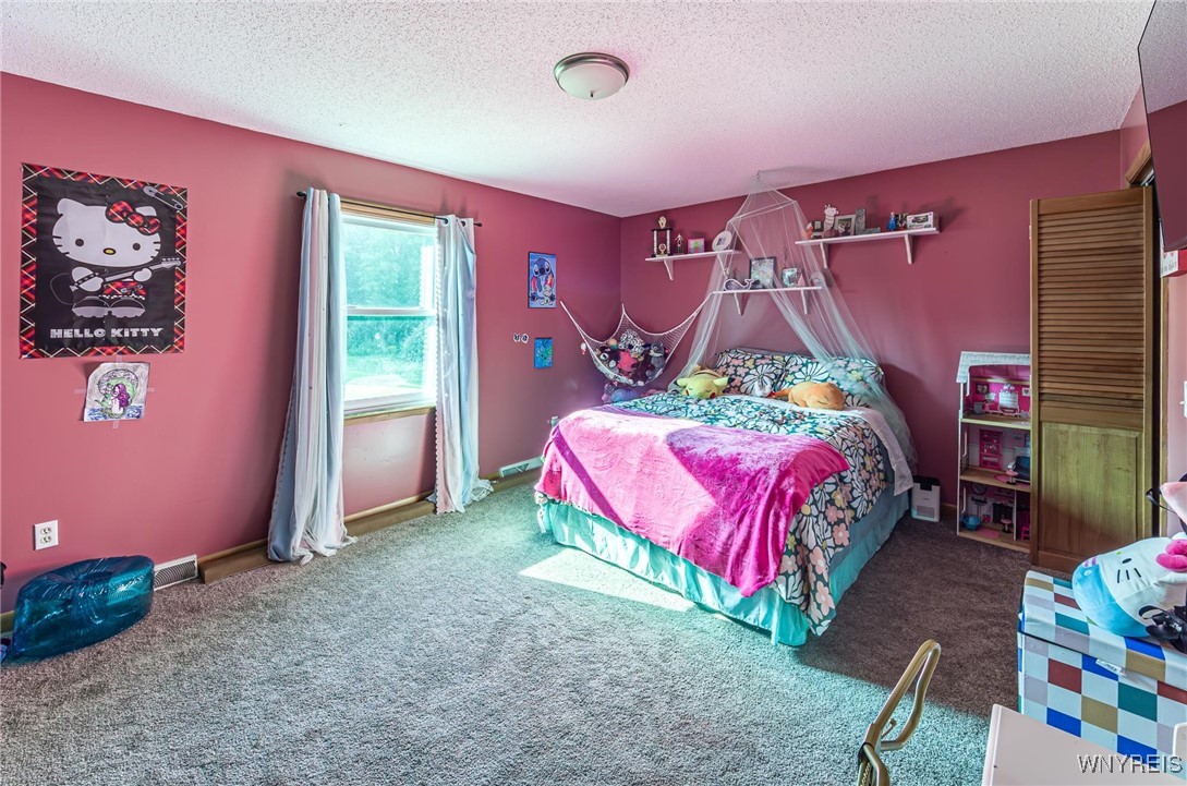 2260 Fuller Road Newfane, NY 14028 - Photo 26 of 50