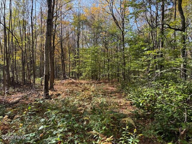 Fairmont Road Road Starrucca, PA 18462 - Photo 1 of 18