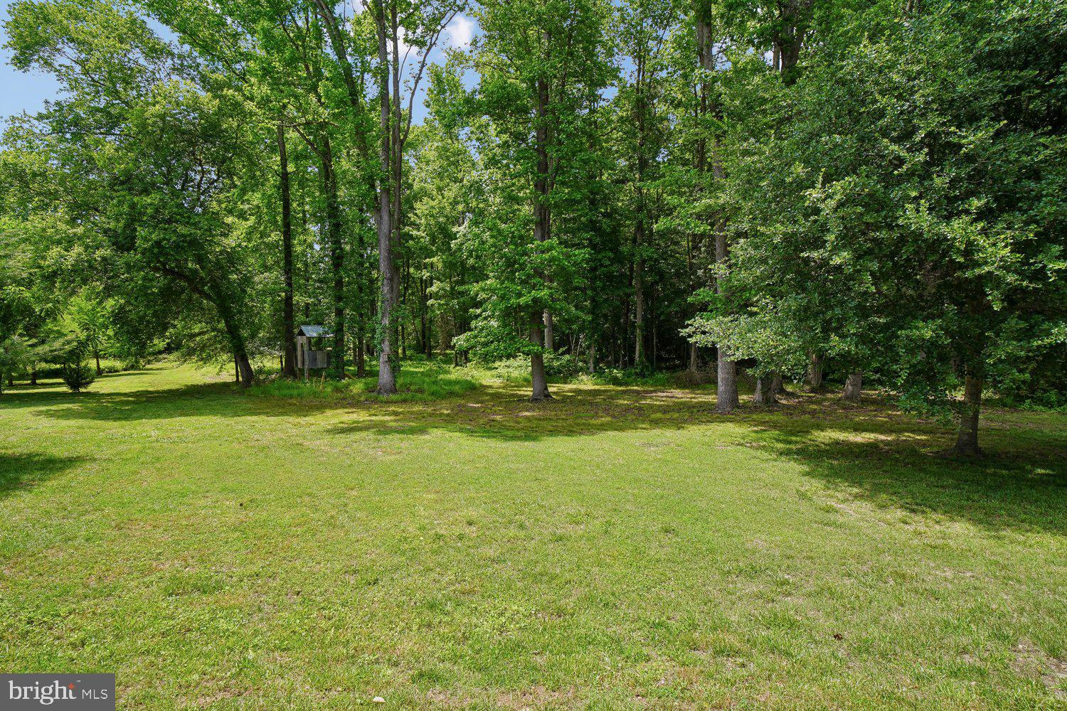 7496 Parsonsburg Road Parsonsburg, MD 21849 - Photo 46 of 60 View