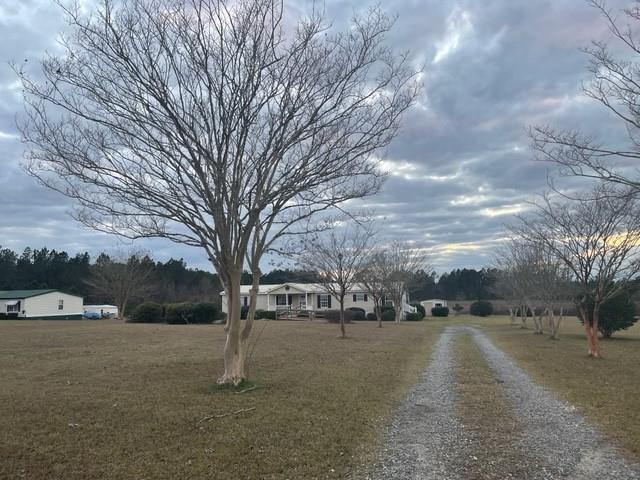 2324 Culpepper Road Cordele, GA 31015 - Photo 1 of 1 Front view