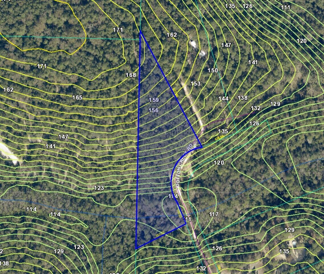 3.8-ac Cotton Creek Road Baker, FL 32531 - Photo 6 of 6 a close up of a plant in a garden