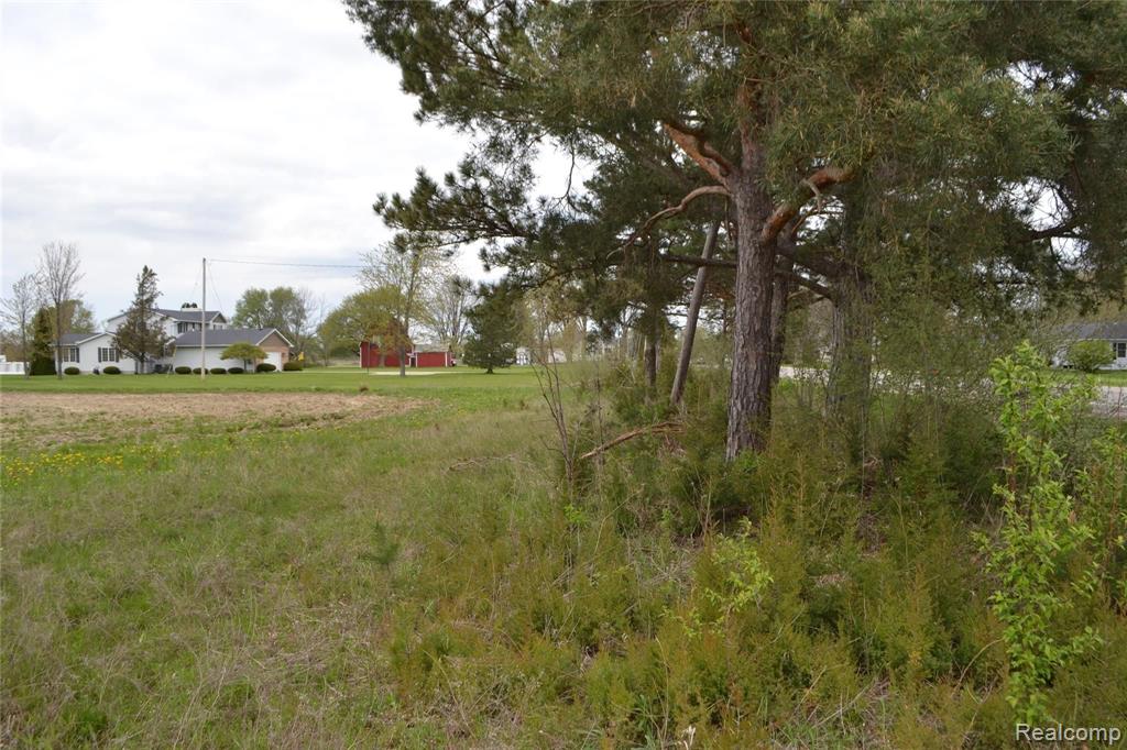 3110 Morrish Road Swartz Creek, MI 48473 - Photo 3 of 8