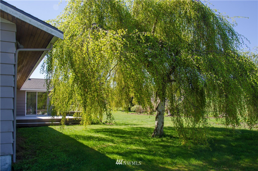 6618 Humphrey Road Clinton, WA 98236 - Photo 19 of 20 Gallery Image 19